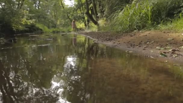 Красивая девушка, гуляющая по берегу лесной реки — стоковое видео