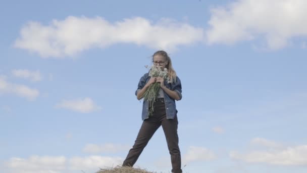 A lány egy-egy csokor százszorszépek a háttér a kék ég — Stock videók