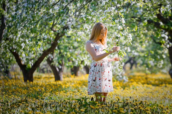 Dziewczyna Kwitnącym Ogrodzie Bukietem Mniszek Lekarskich 2020 — Zdjęcie stockowe