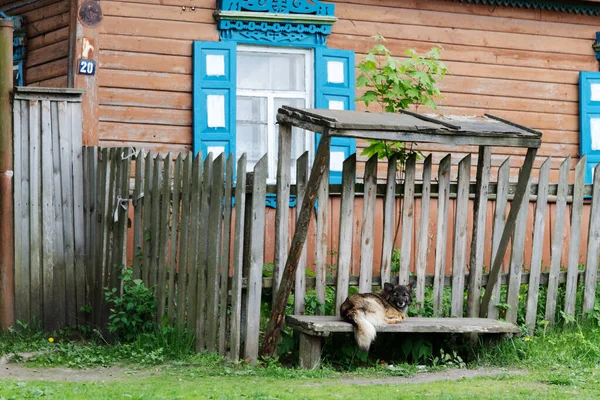 Starý Vesnický Dům Zahradou Obchod 2020 — Stock fotografie