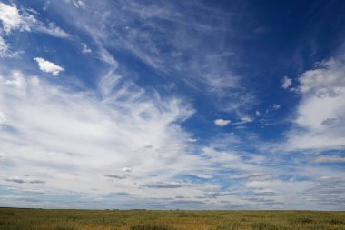 2020 'nin üzerinde değişik bulutlar olan mavi gökyüzü.
