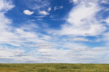 2020 'nin üzerinde değişik bulutlar olan mavi gökyüzü.