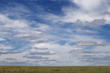 2020 'nin üzerinde değişik bulutlar olan mavi gökyüzü.
