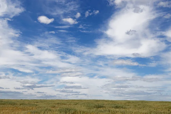 Céu Azul Com Nuvens Variegadas Sobre Campo 2020 — Fotografia de Stock