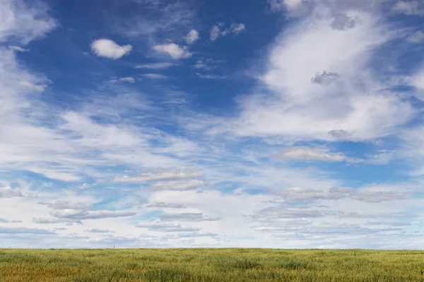 Céu Azul Com Nuvens Variegadas Sobre Campo 2020 — Fotografia de Stock