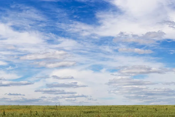 Cielo Azul Con Nubes Abigarradas Sobre Campo 2020 —  Fotos de Stock