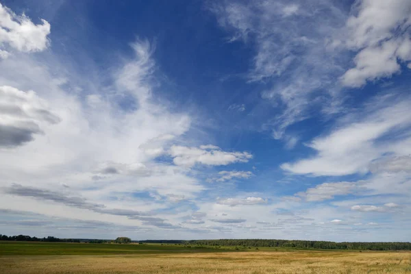 Блакитне Небо Різноманітними Хмарами Полі 2020 — стокове фото