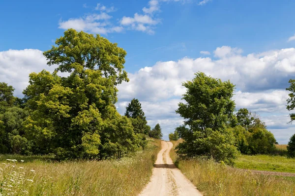 Літній Краєвид Сільська Дорога Небо Хмари 2020 — стокове фото