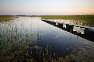 Küçük bir göl 2020 'de ahşap bir tekne iskelesi.