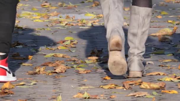 Pessoas Caminham Longo Caminhos Cobertos Com Folhas Amarelas Outono — Vídeo de Stock