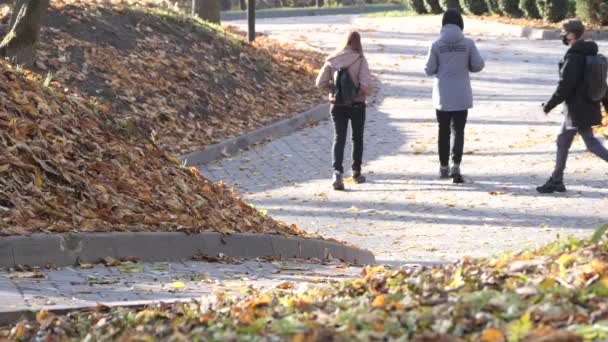 Les Gens Marchent Long Des Sentiers Couverts Feuilles Jaunes Automne — Video