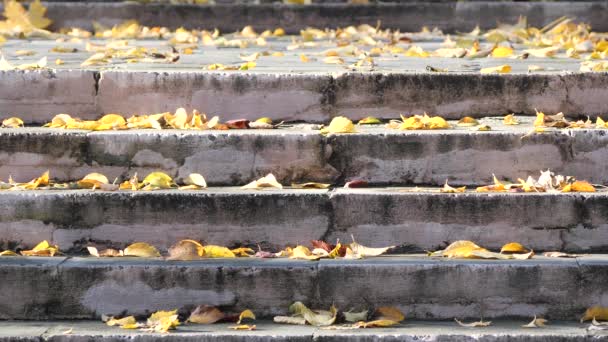 Σκαλοπάτια Καλυμμένα Κίτρινα Φύλλα Φθινόπωρο — Αρχείο Βίντεο
