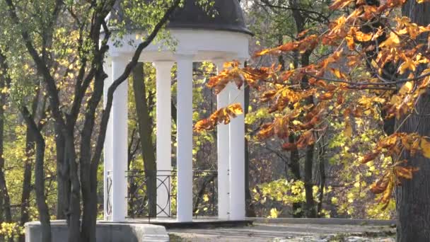 가을에 공원에 아늑하고 전망대입니다 벨로루시 — 비디오