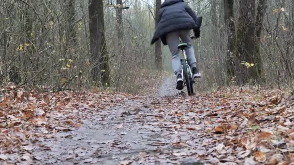 Cyklist Tonåring Rider Stigen Parken Hösten — Stockvideo