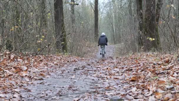 Bisikletçi Genç Sonbaharda Parkta Yol Alır — Stok video