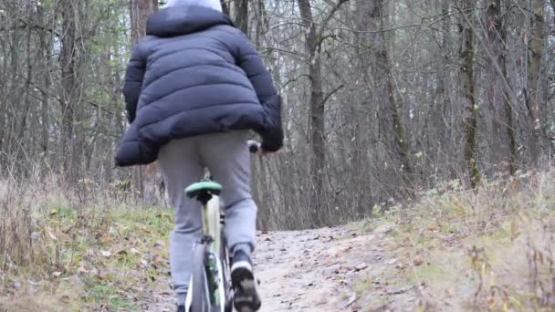 Ciclista Adolescente Monta Caminho Parque Outono — Vídeo de Stock