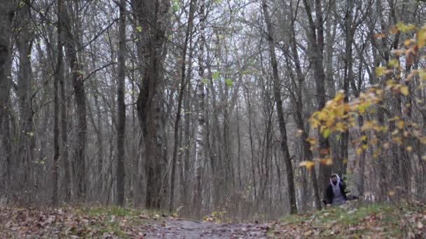 Rowerzysta nastolatek jeździ ścieżką w parku jesienią — Wideo stockowe