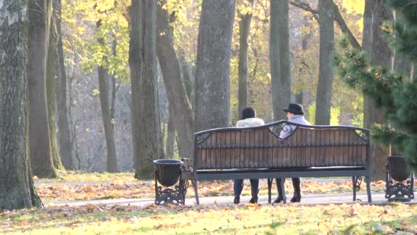 Уютная скамейка в парке среди желтой листвы осенью — стоковое видео