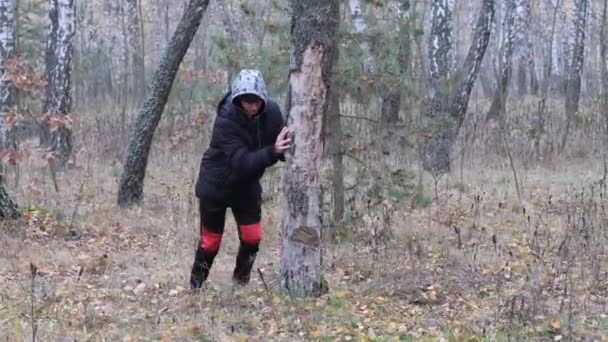 Adolescente Quebra Velha Árvore Bétula Podre Floresta 2020 — Vídeo de Stock
