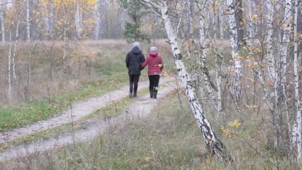 若いカップルが秋の森を歩き — ストック動画