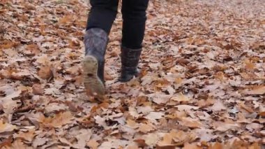 Sonbahar ormanlarında sarı yapraklarla yürüyen bir kız.