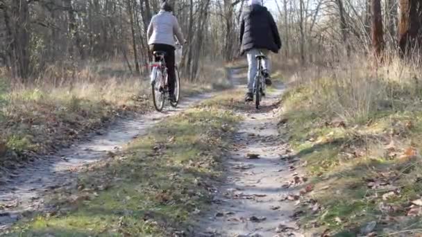 A couple of cyclists riding a forest road in the sun in autumn — Stock Video