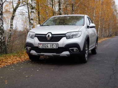 Gomel, BELARUS - 8 Kasım 2020: 2020 sonbaharında huş ağacına park edilmiş gümüş bir araba