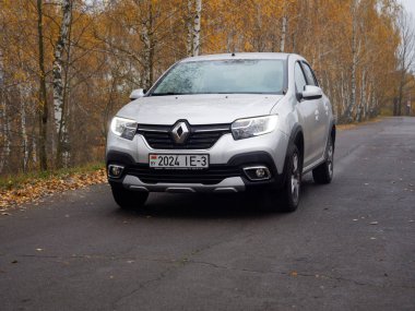 Gomel, BELARUS - 8 Kasım 2020: 2020 sonbaharında huş ağacına park edilmiş gümüş bir araba