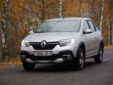 Gomel, BELARUS - 8 Kasım 2020: 2020 sonbaharında huş ağacına park edilmiş gümüş bir araba