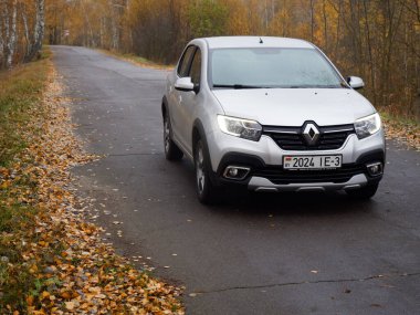 Gomel, BELARUS - 8 Kasım 2020: 2020 sonbaharında huş ağacına park edilmiş gümüş bir araba