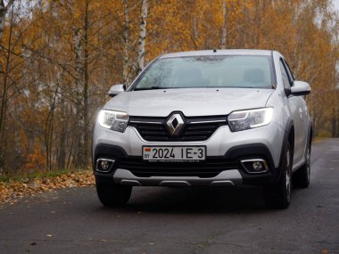 Gomel, BELARUS - 8 Kasım 2020: 2020 sonbaharında huş ağacına park edilmiş gümüş bir araba