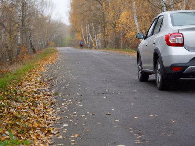 Gomel, BELARUS - 8 Kasım 2020: 2020 sonbaharında huş ağacına park edilmiş gümüş bir araba