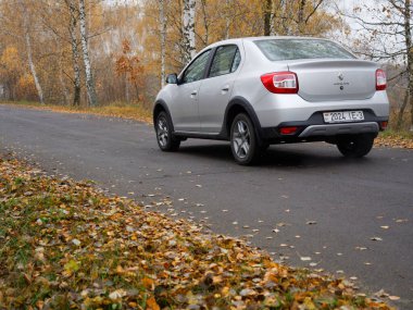 Gomel, BELARUS - 8 Kasım 2020: 2020 sonbaharında huş ağacına park edilmiş gümüş bir araba