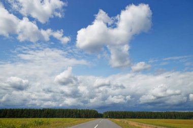 Gökyüzünün altındaki tarlaların arasında bulut 2020