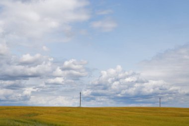 Fırtınalı gökyüzü altında hasat için uygun altın tahıl tarlası 2020