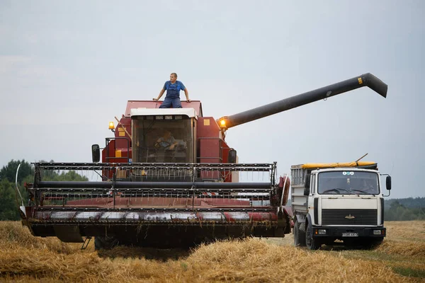 Gomel Belarus Agosto 2020 Vendemmia Cereali Nel Campo 2020 — Foto Stock