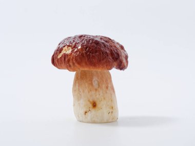 Kahverengi şapkalı mantar ve 2020 numaralı stüdyoda beyaz arka planda kalın bir bacak.