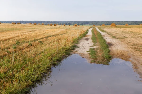 large deep puddle on the road in the field 2020