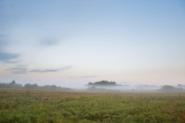 2020 yılının şafağında sisli bir havada
