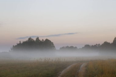 2020 yılının şafağında sisli bir havada