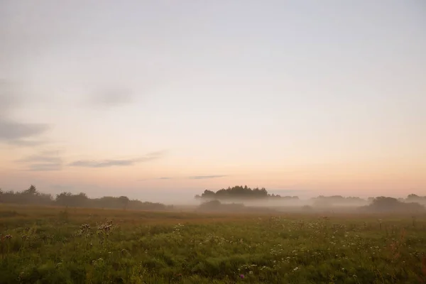 Nebel Der Morgendämmerung 2020 — Stockfoto