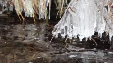 Kıyıdaki çimlerde buz saçakları içinde ilk buzlar.