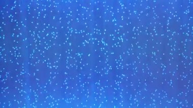 Hava kabarcıkları mavi suda yavaşça yüzer rahatla.