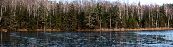 Jezioro Leśne Pokryte Lodowatymi Drzewami Brzegu 2020 — Zdjęcie stockowe
