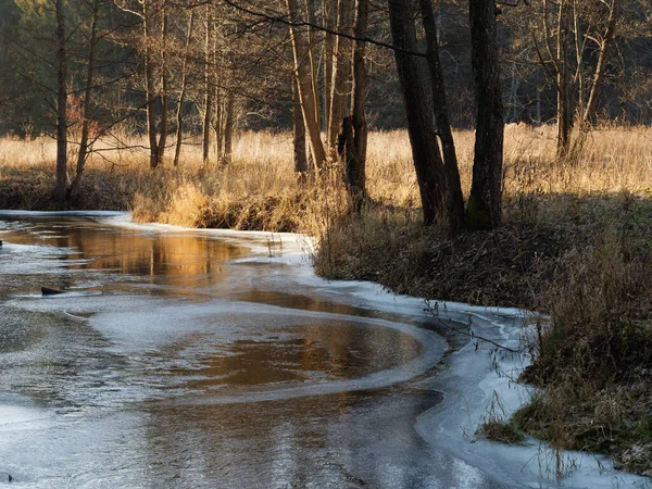 Forest Winding River First Ice Water 2020 — Stock Photo, Image