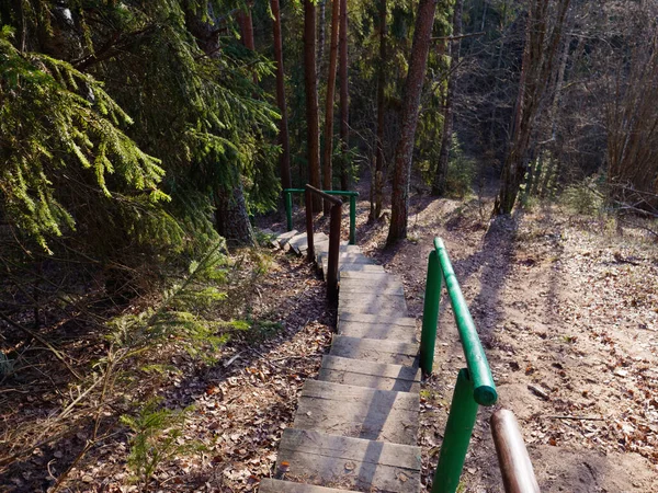 Ξύλινη Σκάλα Στο Λόφο Στο Δάσος 2020 — Φωτογραφία Αρχείου