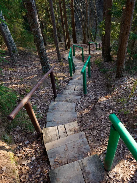 Escada Madeira Para Colina Floresta 2020 — Fotografia de Stock