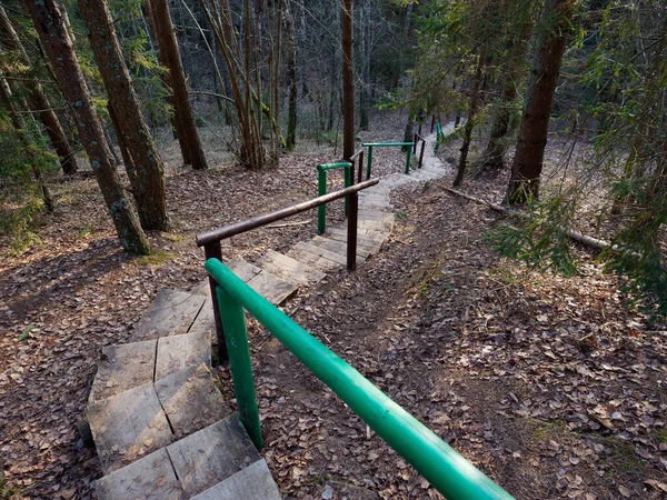 Escada Madeira Para Colina Floresta 2020 — Fotografia de Stock