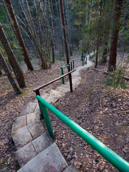 Escada Madeira Para Colina Floresta 2020 — Fotografia de Stock