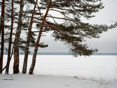 2021 'de kar altında bir kış gölüne akşam çöker.